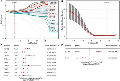 An immune and epithelial–mesenchymal transition-related risk model and immunotherapy strategy for grade II and III gliomas